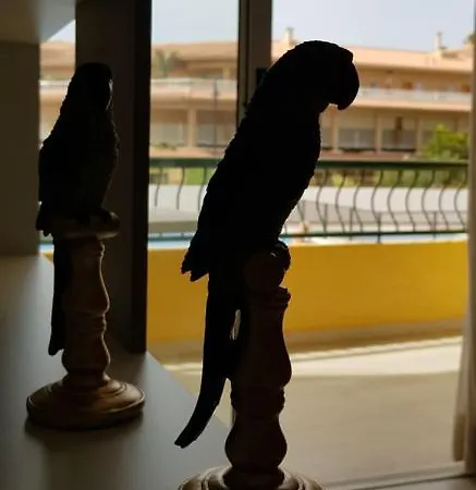 Playa Vistas Loft Apartamento *